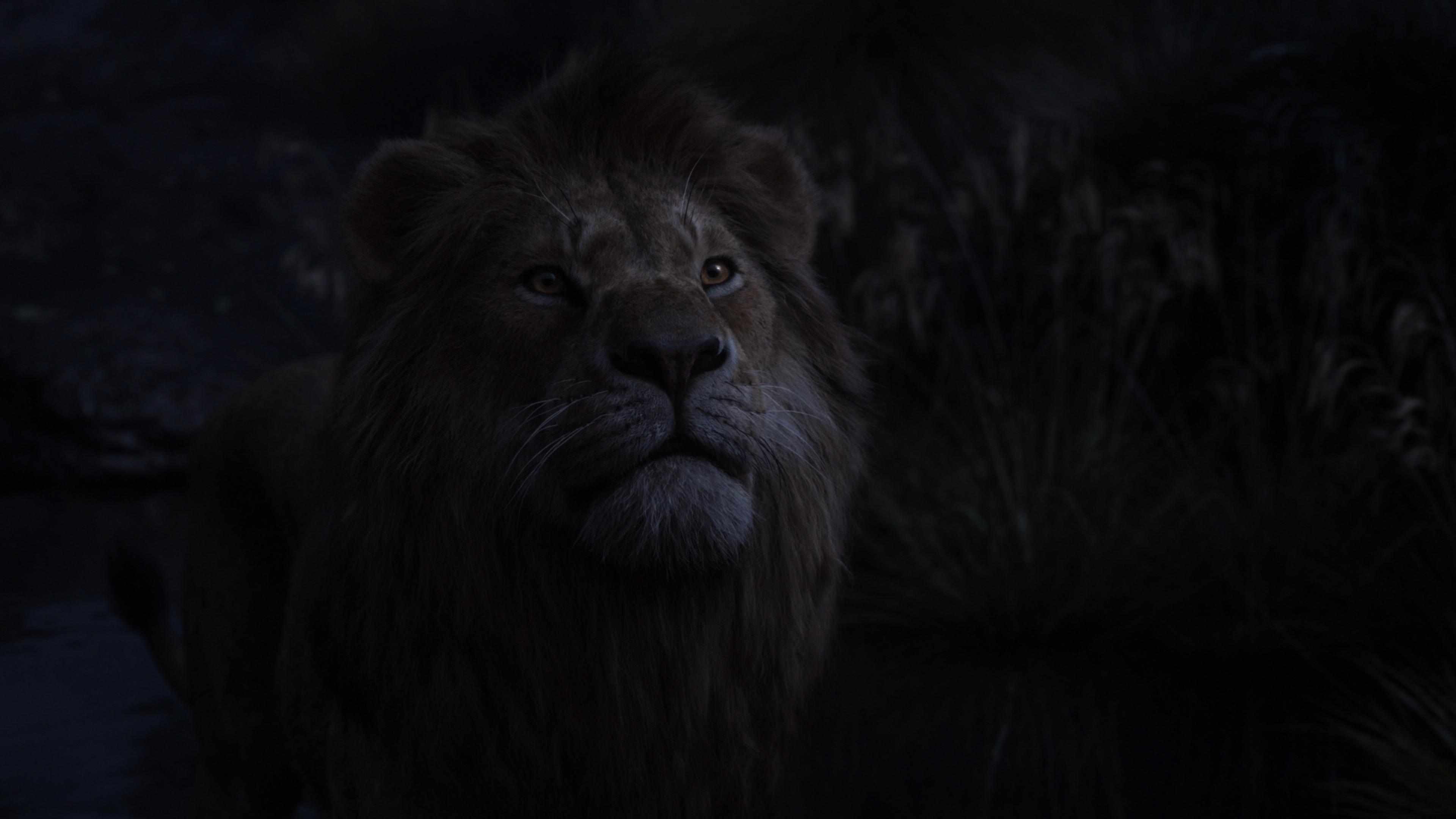 Король лев 2019 года. Король Лев 2019. Король Лев 2019 Муфаса. Король Лев 2019 Симба.