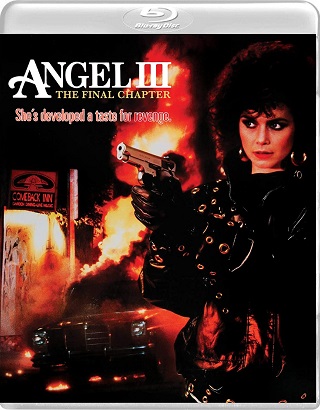 angel_3_-_the_final_chapter_bluray