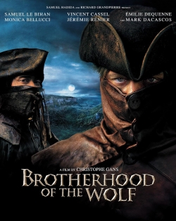 Movie poster for 'Brotherhood of the Wolf' featuring two mysterious figures in dark attire, set against a dramatic landscape.