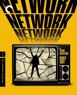 A stylized movie poster for 'Network' featuring a cracked television screen revealing a silhouette against a backdrop of dollar bills. The background is yellow with bold black text repeating 'NETWORK'.